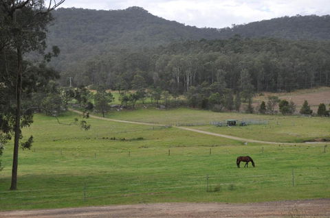 Valle Laguna - Accommodation Yamba 5