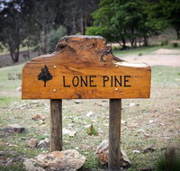 Lone Pine Farmhouse - Accommodation Yamba