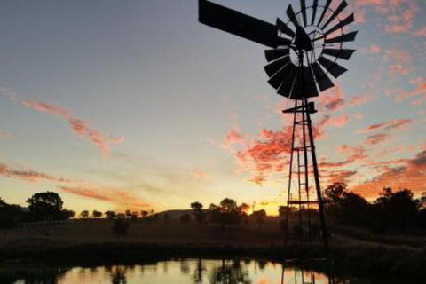 Milford Country Cottages - Accommodation Yamba 3