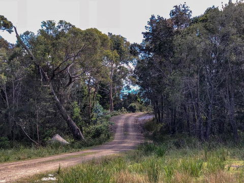 BAY Of FIRES ECO HUT Off Grid Experience At Binalong Bay - Accommodation Yamba 3