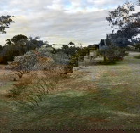 Young Budget Accommodation - Accommodation Yamba