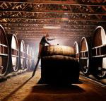 Pieter van Gent Winery  Vineyard - Accommodation Yamba