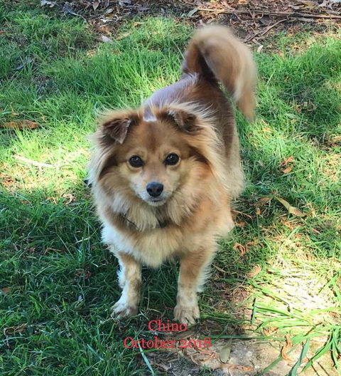 Acacia Hills Retreat - Accommodation Yamba 4