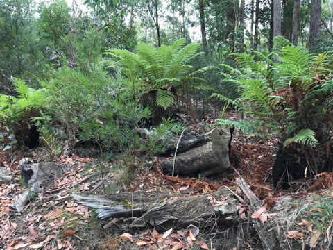 Acacia Hills Retreat - Accommodation Yamba 2