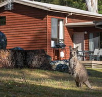 Wonderland Cottages - Accommodation Yamba