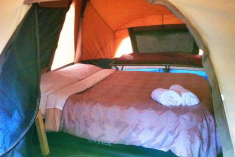 WA Wilderness Glamping - Accommodation Yamba 3