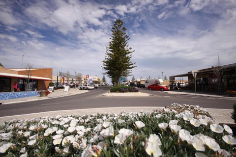 Ceduna Foreshore Caravan Park - Accommodation Yamba 1