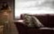 Silverdown Guesthouse - thumb 4