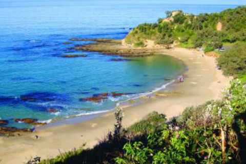 Pacific Studio Nambucca Heads - Accommodation Yamba 5