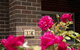 Rose Cottage Charming Double Brick Near Cook Park & CBD - thumb 4