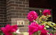 Rose Cottage Charming Double Brick Near Cook Park & CBD - thumb 0