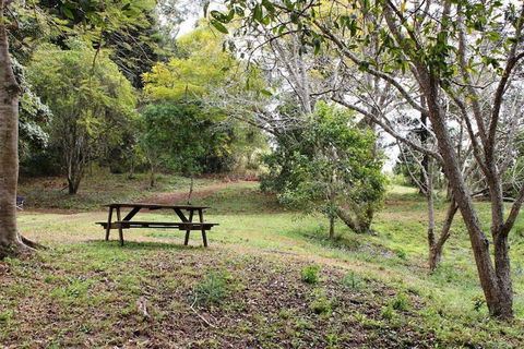 Stonehouse Farm Glamping - Accommodation Yamba 1