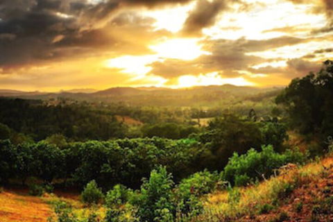 Stonehouse Farm Glamping - Accommodation Yamba 0