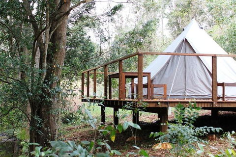 Stonehouse Farm Glamping - Accommodation Yamba 5
