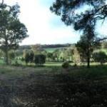 Chandeliers On Abbey - Accommodation Yamba 0
