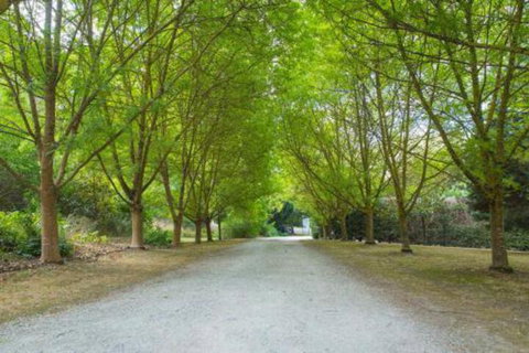 In The Valley - Accommodation Yamba 6