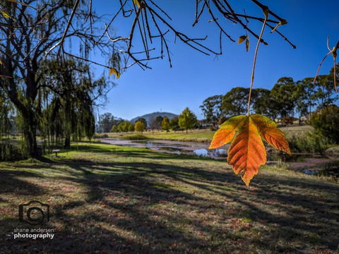 Dillons Cottage - Accommodation Yamba 4