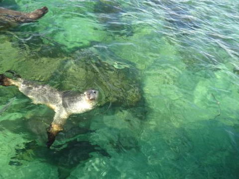 Acaciabnb - Accommodation Yamba 5