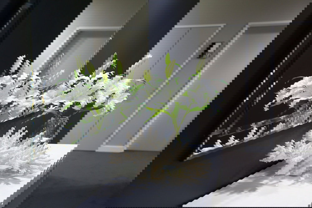 Carole Park QLD Accommodation Yamba