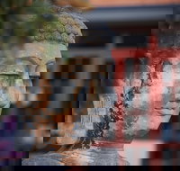 Pagoda Resort  Spa - Accommodation Yamba