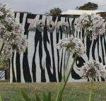 Zebras Guest House - Accommodation Yamba