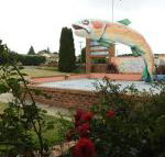 Big Trout Motel - Accommodation Yamba