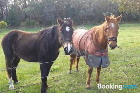 Heritage Bed & Breakfast - Accommodation Yamba 3