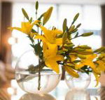 KUI Manhattan Apartments - Accommodation Yamba