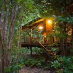 Wildwood - Accommodation Yamba 0