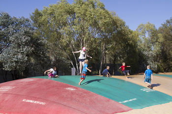 Big4 Dubbo Parklands - Accommodation Yamba 3