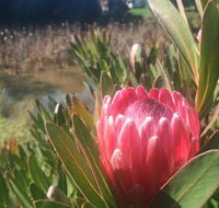 Creswick Cabin Retreat - Accommodation Yamba