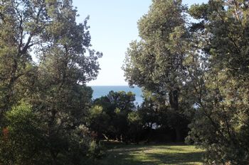 Uringah Rejuvenate Stays - Accommodation Yamba 6