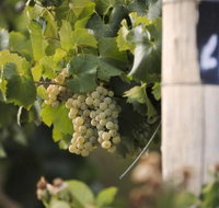 Ingenia Holidays Mudgee Valley - Accommodation Yamba