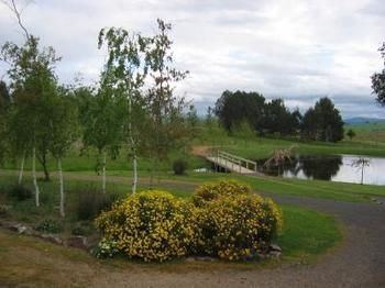 Buttercup Cottage & Private Apartment - Accommodation Yamba 3