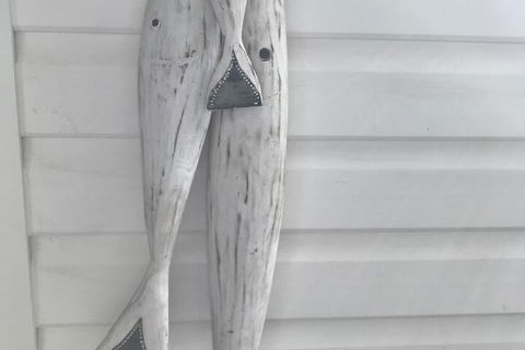 Byron Springs - Accommodation Yamba 1