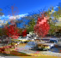 Beechworth Lake Sambell Caravan Park - Accommodation Yamba