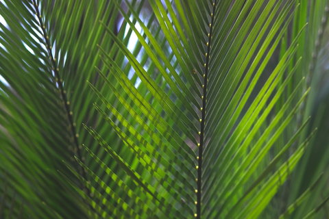 The Jackson Ranch - Accommodation Yamba 2