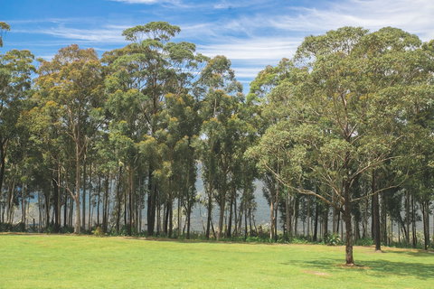 The Jackson Ranch - Accommodation Yamba 4