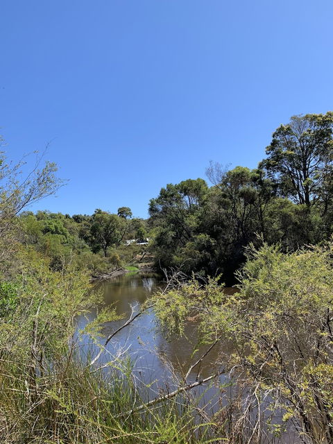 Denmark Forest Retreat - Accommodation Yamba 3
