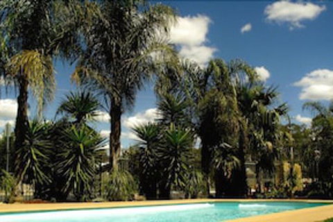 Echuca Motel - Accommodation Yamba 0