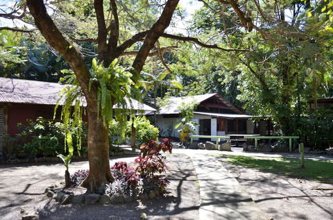 PKs Jungle Village - Hostel - Accommodation Yamba 5
