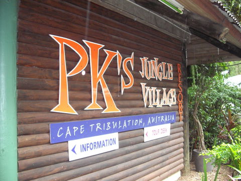 PKs Jungle Village - Hostel - Accommodation Yamba 0