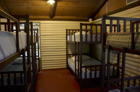 PKs Jungle Village - Hostel - Accommodation Yamba 6