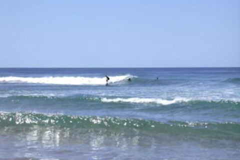 Culburra Beach House - Accommodation Yamba 4