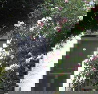 Ivy on Glenelg - Accommodation Yamba