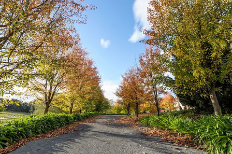 Montfort Manor - Accommodation Yamba 0