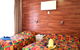 Norfolk Pine Motel Merimbula - thumb 4