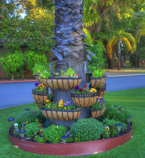 Mandurah Caravan & Tourist Park - Accommodation Yamba 4