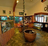 Lync Haven Rain Forest Retreat - Accommodation Yamba