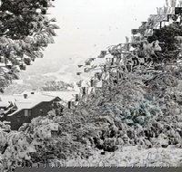 Alpenhorn - Accommodation Yamba